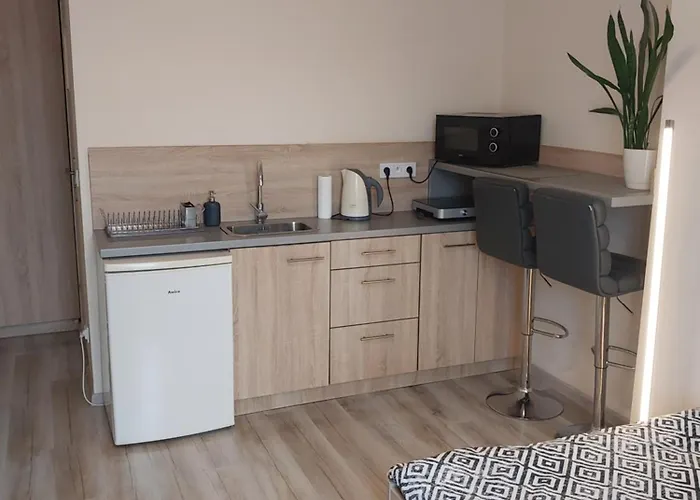 Studio Near Old Town